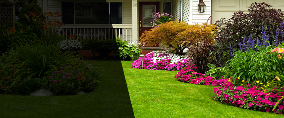 Lockport Landscapers